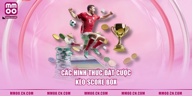 Các hình thức đặt cược kèo score box